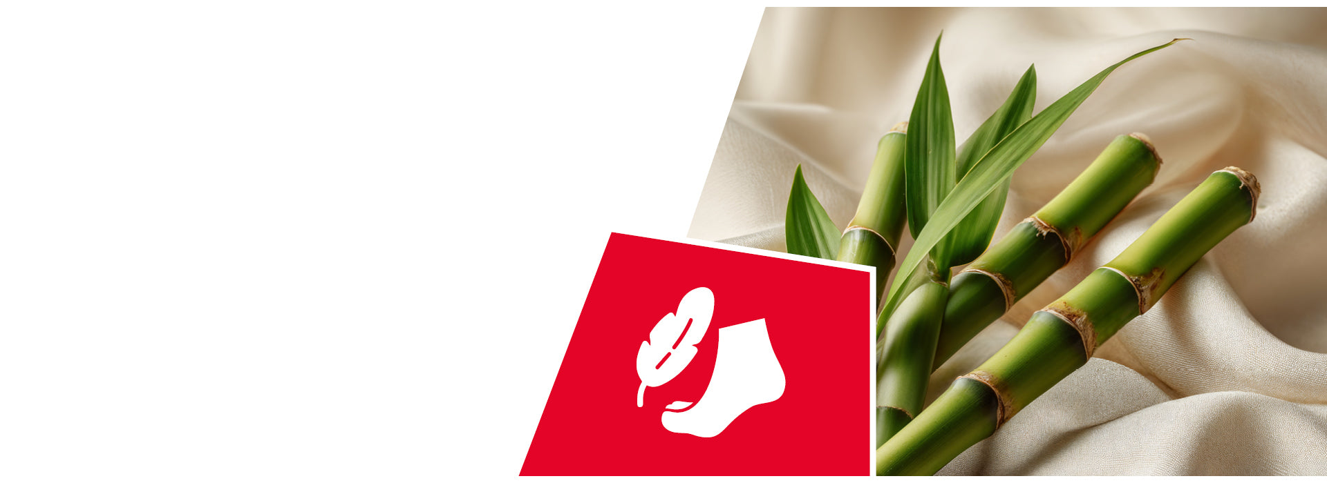 Des tiges de bambou vert frais, avec leurs nœuds segmentés caractéristiques, reposent sur un tissu beige fluide, à côté de feuilles de bambou. Au premier plan, on aperçoit une carte ou une étiquette carrée rouge sur laquelle est dessinée la silhouette blanche d'une chaussette ornée d'un motif de feuilles. La composition évoque des matériaux naturels et durables, ainsi qu'une production textile respectueuse de l'environnement.