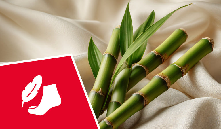 Des tiges de bambou vert frais, avec leurs nœuds segmentés caractéristiques, reposent sur un tissu beige fluide, à côté de feuilles de bambou. Au premier plan, on aperçoit une carte ou une étiquette carrée rouge sur laquelle est dessinée la silhouette blanche d'une chaussette ornée d'un motif de feuilles. La composition évoque des matériaux naturels et durables, ainsi qu'une production textile respectueuse de l'environnement.