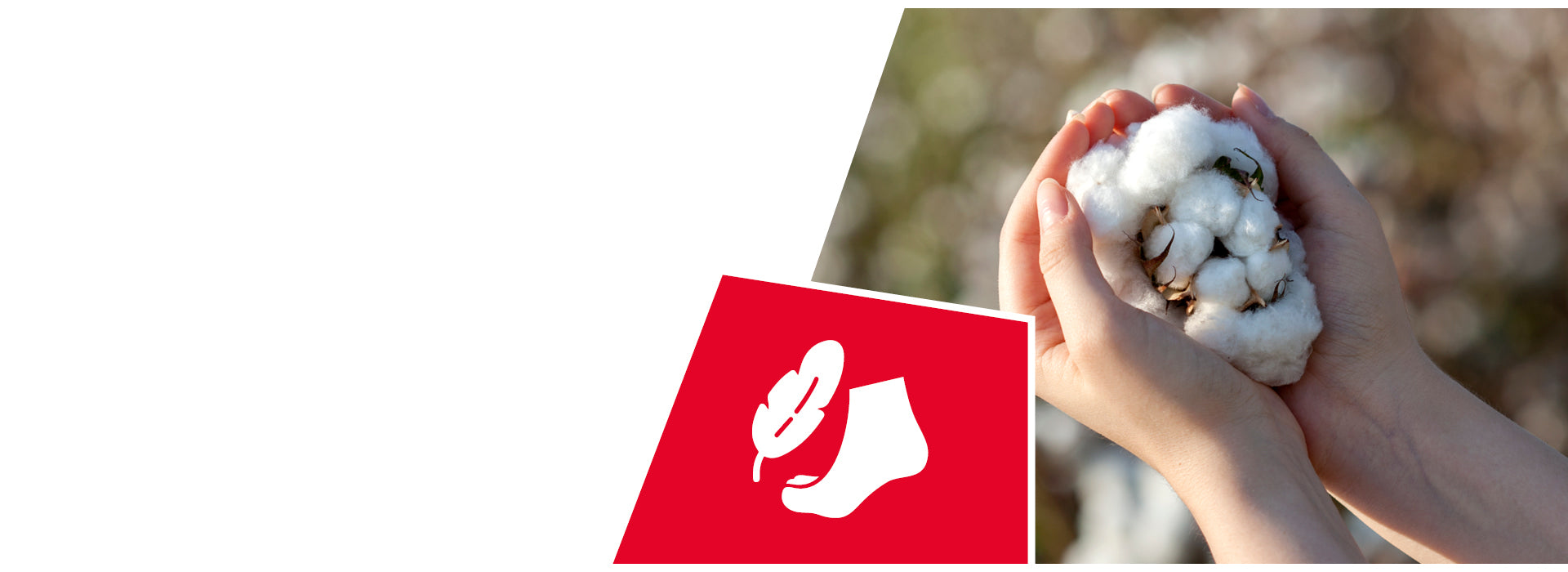 Mains en coupe tenant des capsules de coton blanc avec des fibres naturelles dans un décor extérieur. Une icône rouge représente une chaussette blanche avec un symbole en forme de feuille, indiquant des chaussures en fibres naturelles.