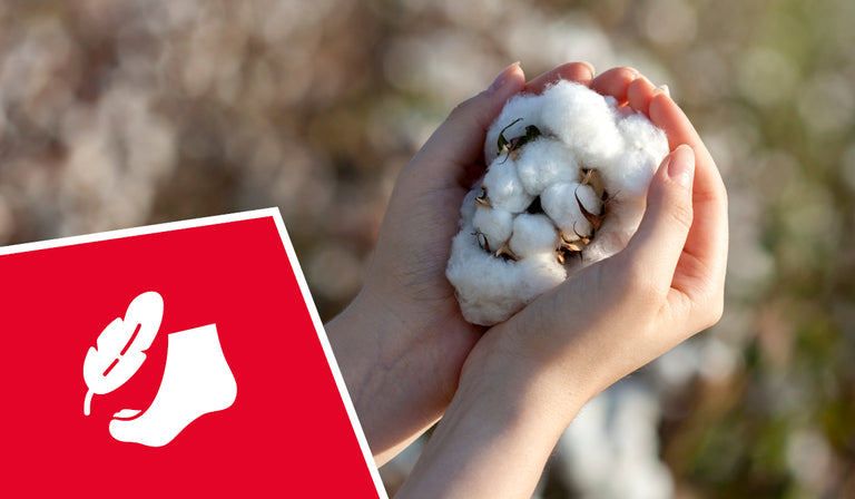Mains en coupe tenant des capsules de coton blanc avec des fibres naturelles dans un décor extérieur. Une icône rouge représente une chaussette blanche avec un symbole en forme de feuille, indiquant des chaussures en fibres naturelles.