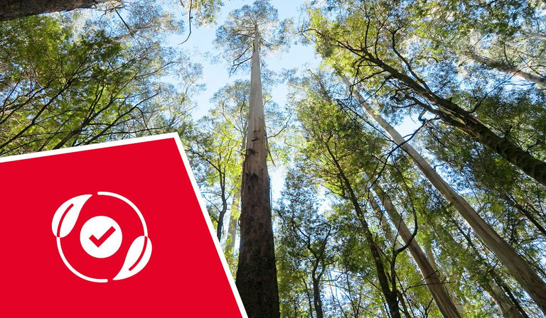 Carte rouge avec un logo blanc en forme de coche circulaire, placée dans une forêt avec de grands arbres et une canopée verte, vue d'en bas contre un ciel bleu.