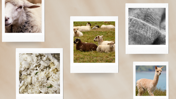 Nos types de laine en comparaison