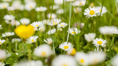 Fraîcheur printanière : comment faire entrer le printemps dans votre armoire à chaussures