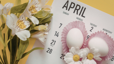 Gros plan sur un calendrier du mois d'avril posé à côté de fleurs d'alstroémères blanches sur fond jaune, composition printanière en flat lay